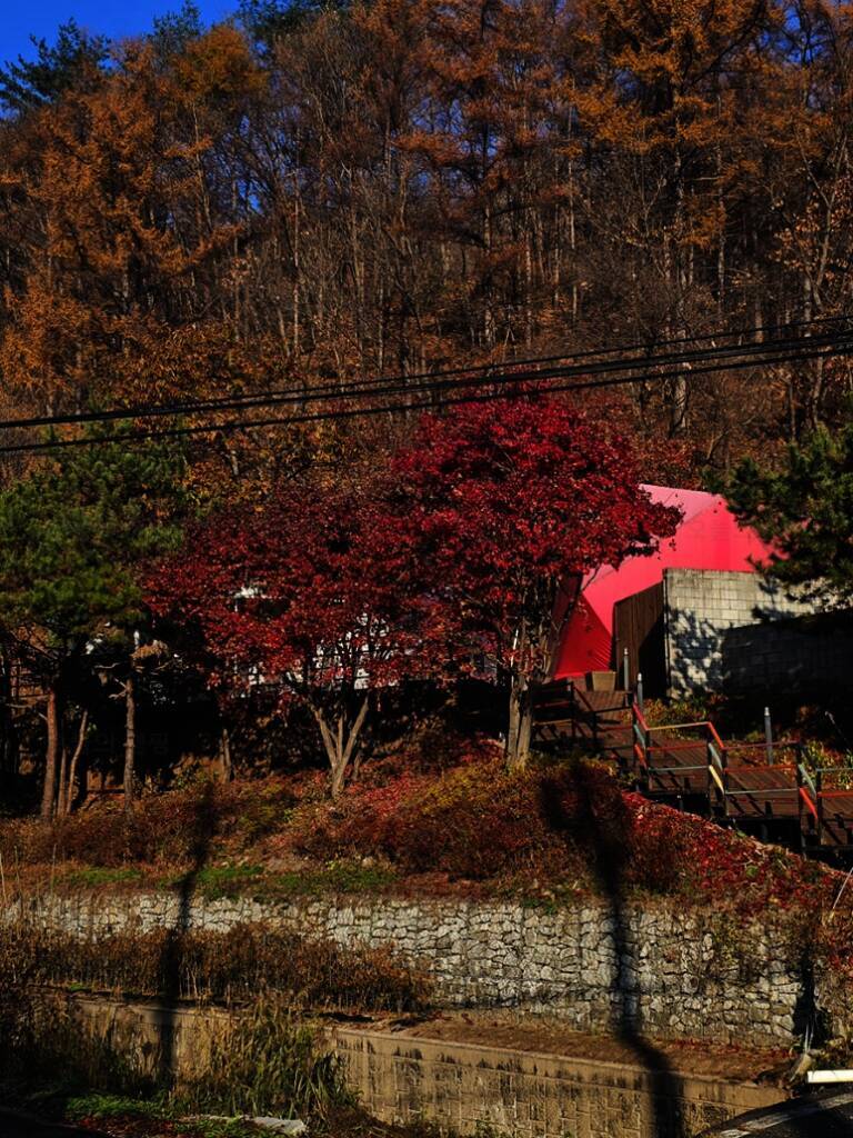 마인드 글램퍼스