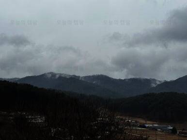 금동휴양림캠프3