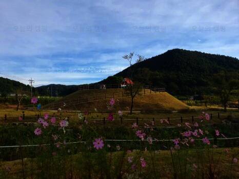 미로나라정원 글램핑장