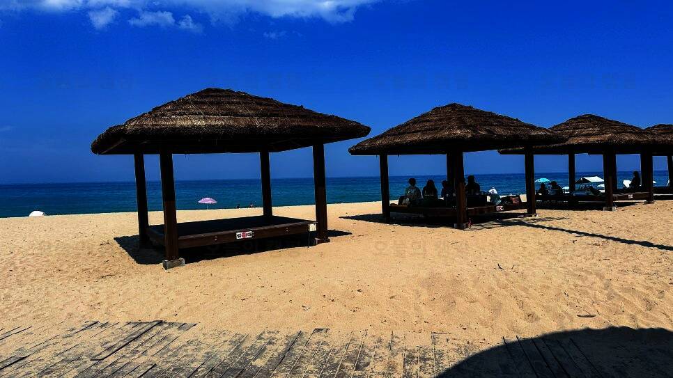 송림 힐링캠핑장