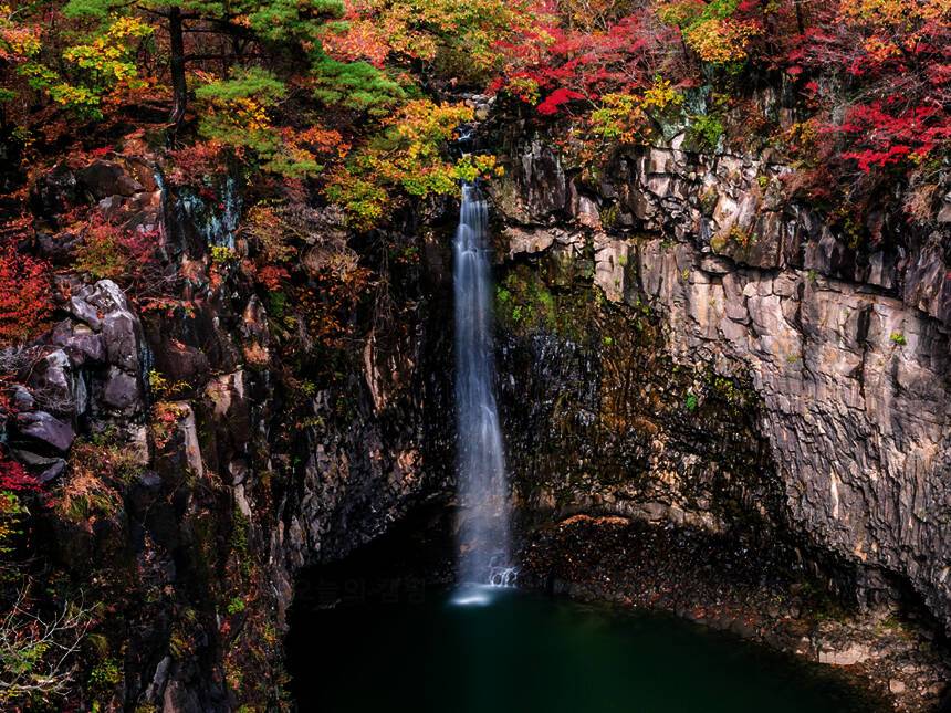 남한산 숲속캠핑장