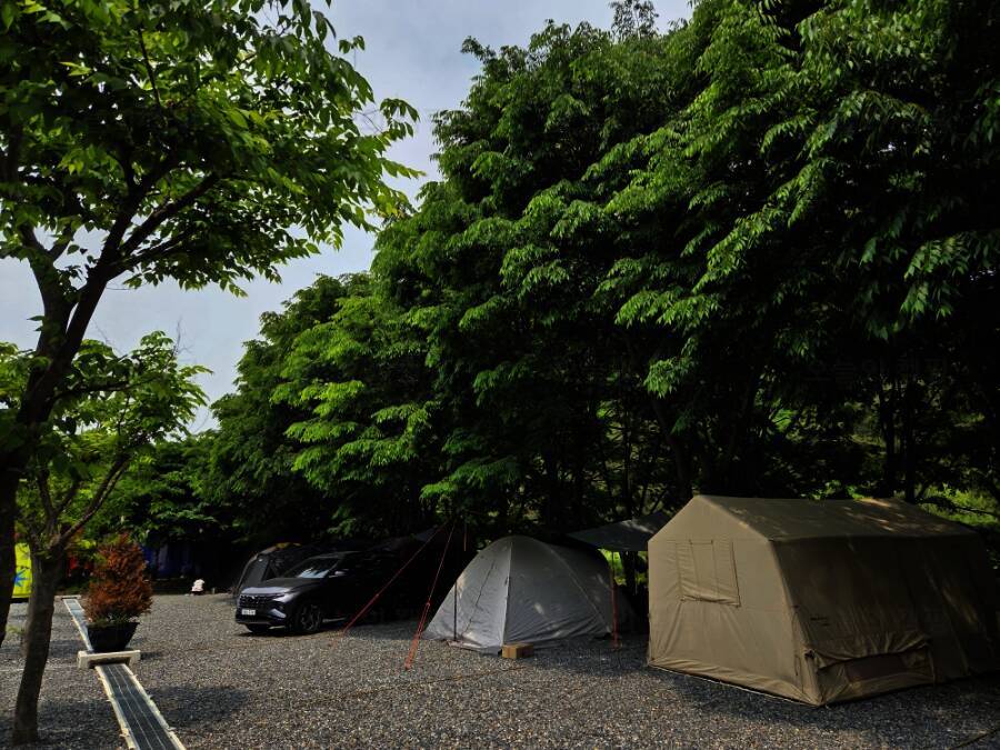 법흥계곡캠핑오늘