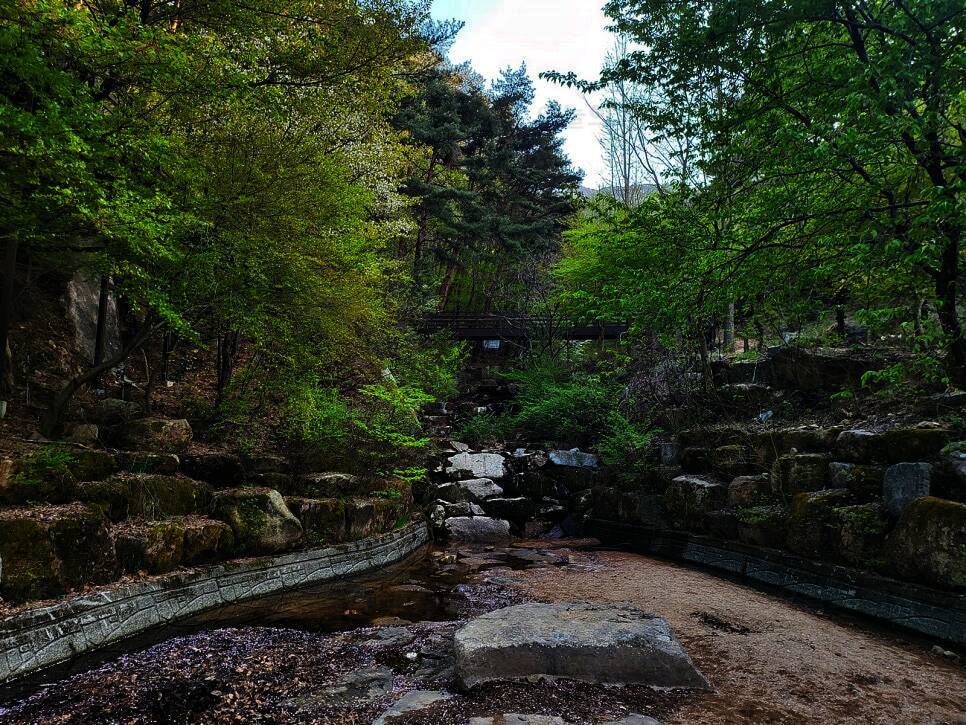 화왕산자연휴양림