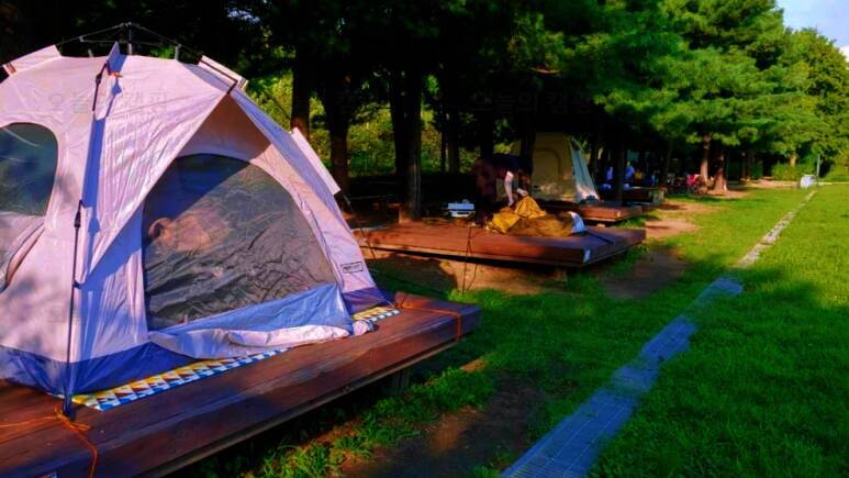 성동 서울숲 여름캠핑장(임시캠핑장)