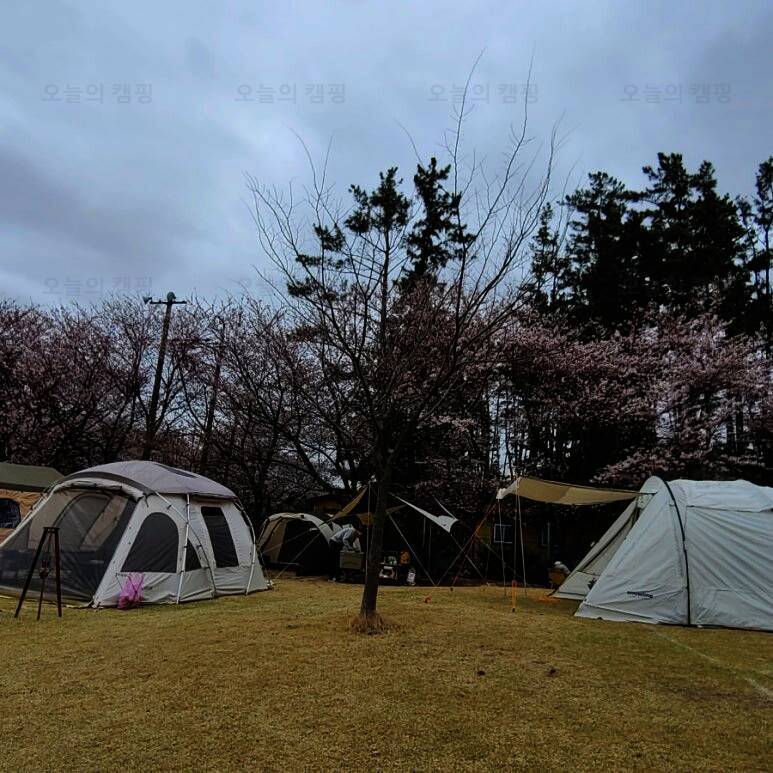 숲속의드림캠프야영장
