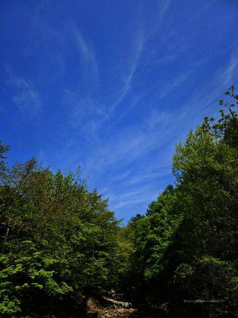 화기애애 단풍 캠핑장