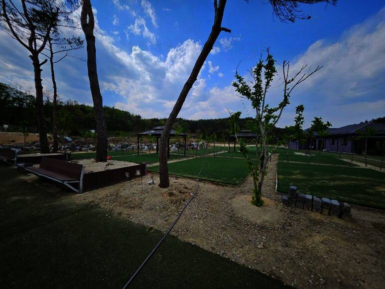 고성라벤더 캠핑장