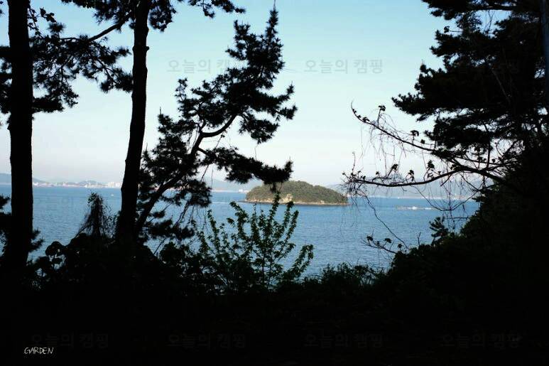 하원마을회 [너른도 야영장]