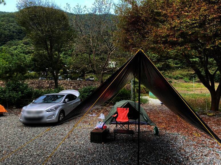 포레스트캐빈앤캠프