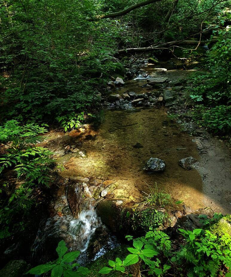 숲속야영장 횡성대피소