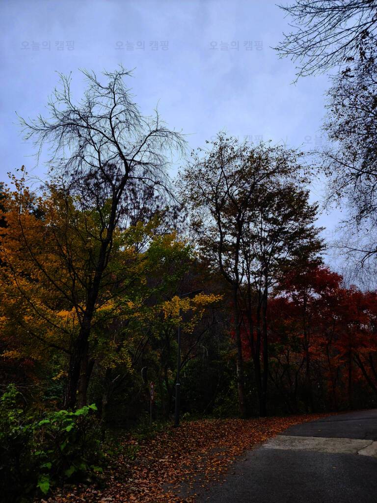 국립자연휴양림관리소(중미산자연휴양림)