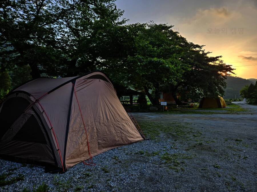 황토와들꽃세상