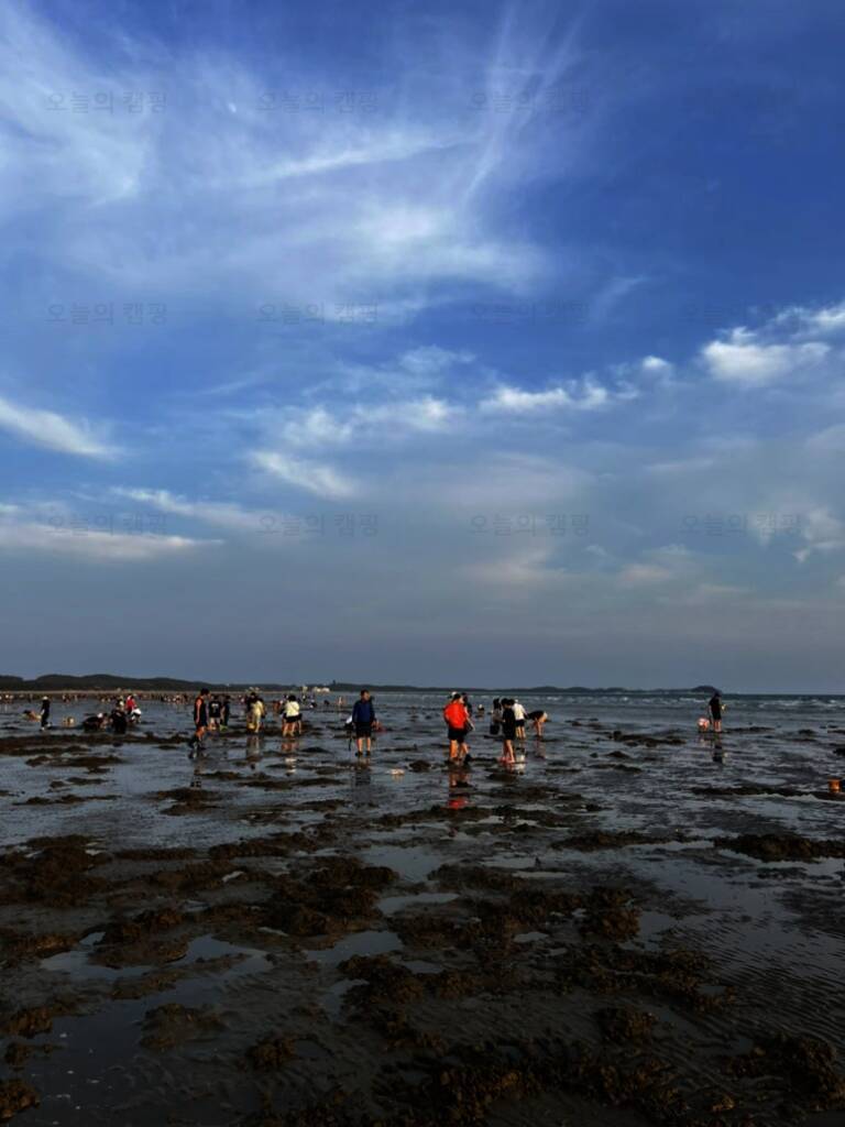 몽산포힐링캠핑장