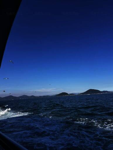 새울림오토캠핑장