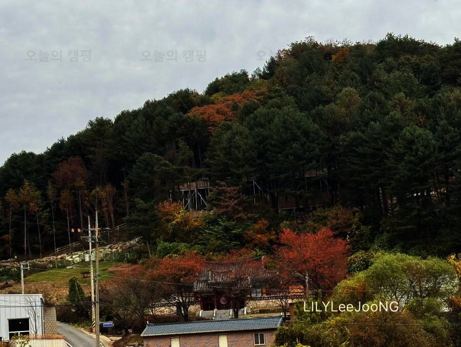 선택적 고립 캠핑장 1