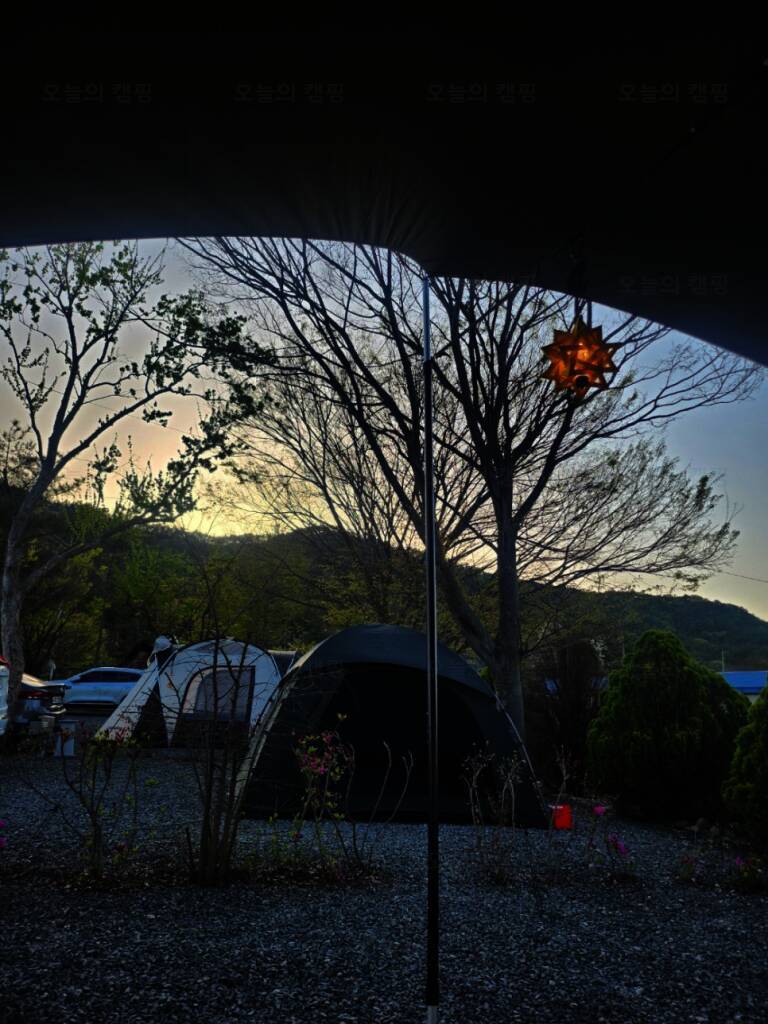 아름드리 캠핑장