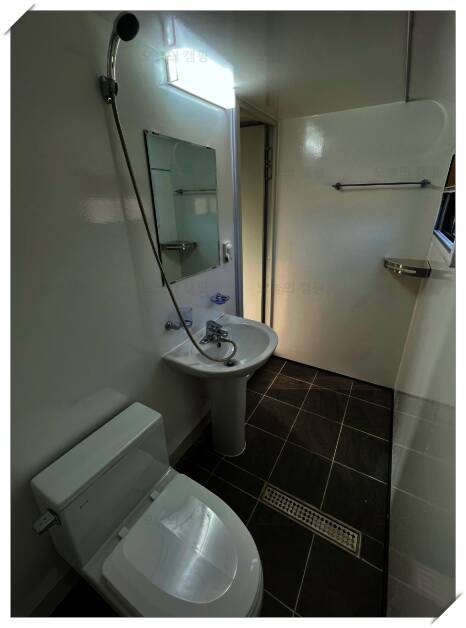 일랑일랑 애견캠핑 인제주