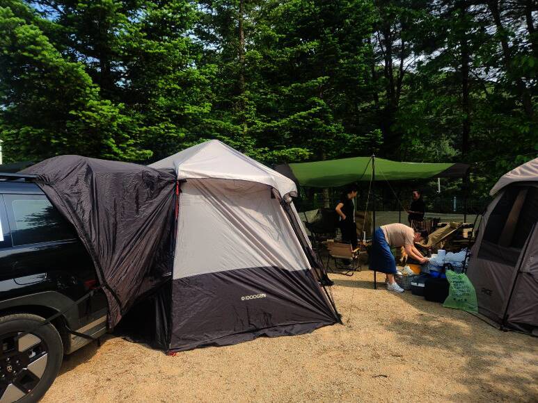 위드독스in포천