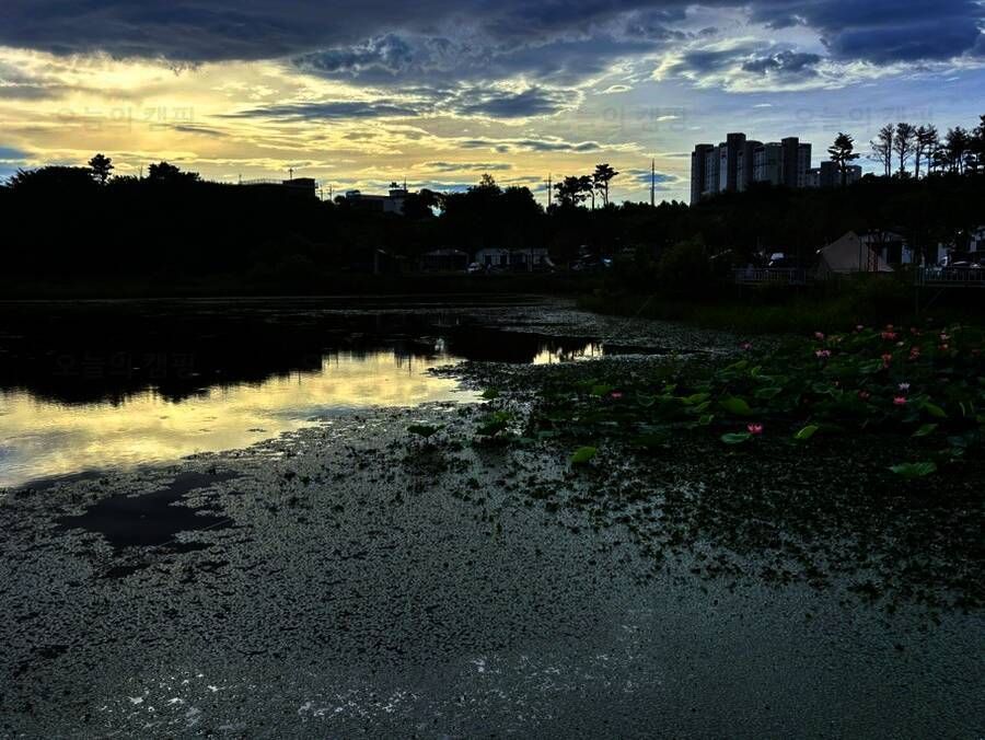 봉포레이크 글램핑 오토캠핑장