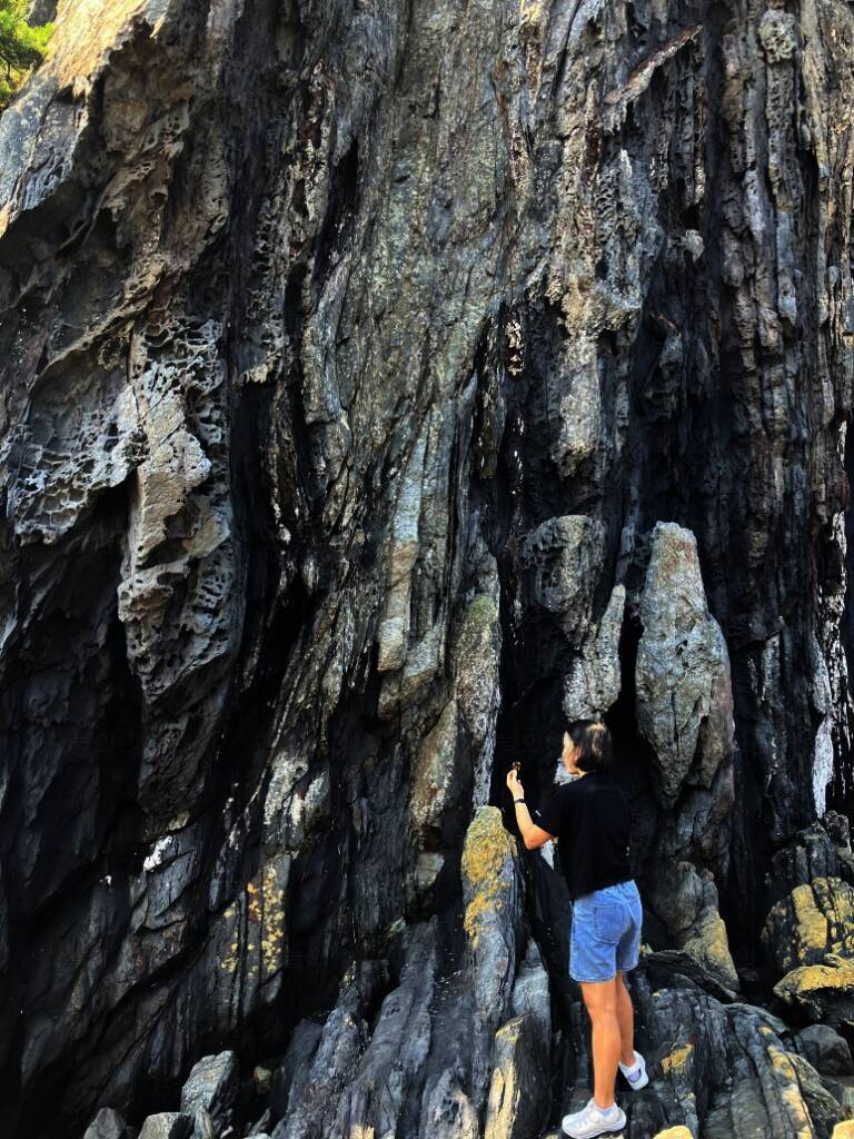 덕적도 자연휴양림 야영장