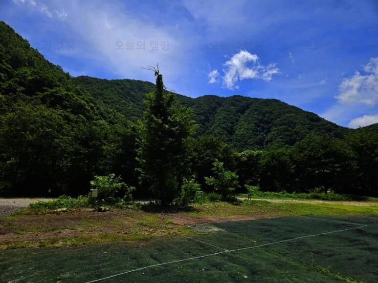 에코팡팡캠핑장