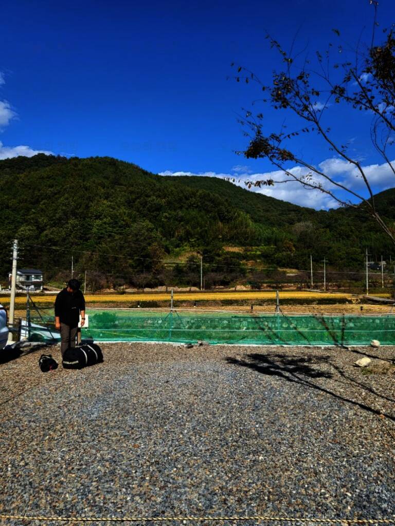 다시캠핑장위드펫