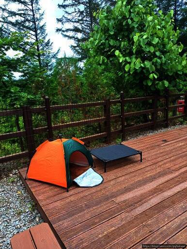 국립화천숲속야영장