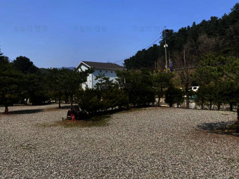 포천 땡큐247 캠핑장