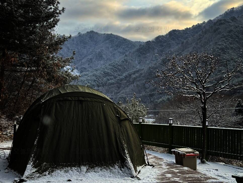 영월 솔향기 캠핑장