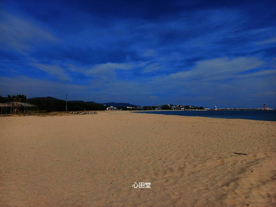 고래불해수욕장(영리지구) 야영장