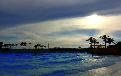 (주)웨이브파크