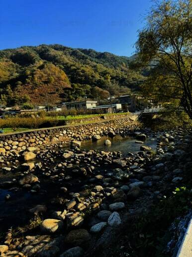 금천계곡 야영장