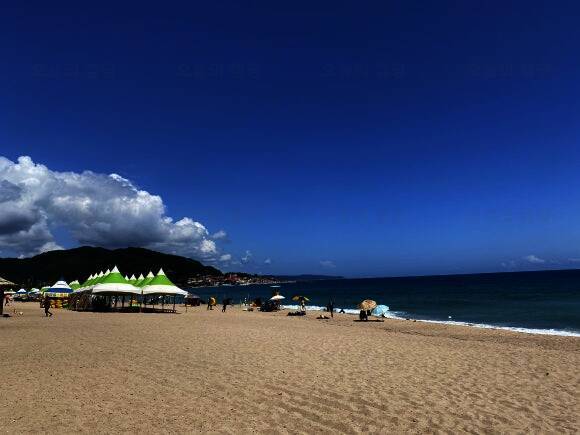 장사해수욕장 야영장