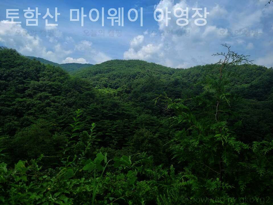 토함산 마이웨이 야영장