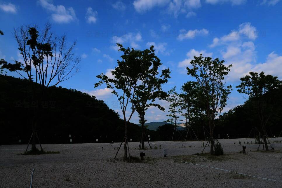 포레스트사운드 캠핑장