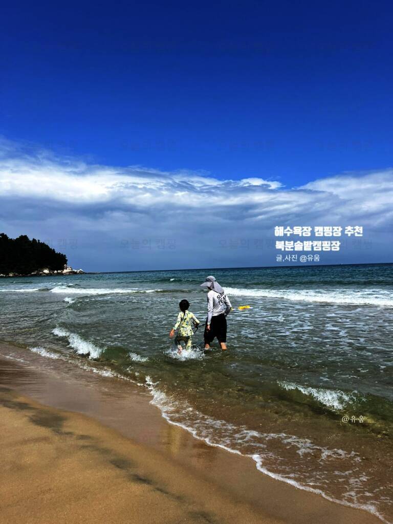 북분솔밭캠핑장