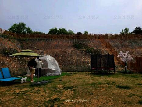 도그팰리스 애견동반글램핑