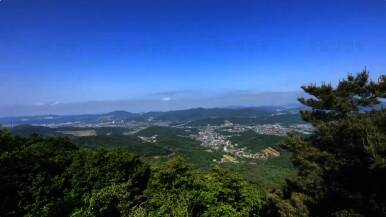 금박산관광농원