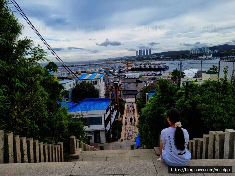 풀글램핑&펫글램핑