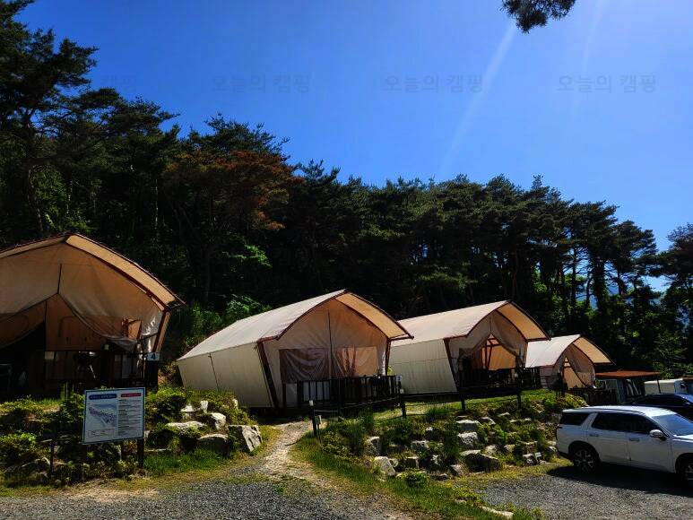 오아시스글램핑