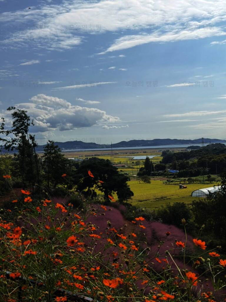 대천힐링캠핑장