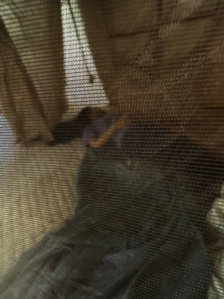 도담2캠핑장