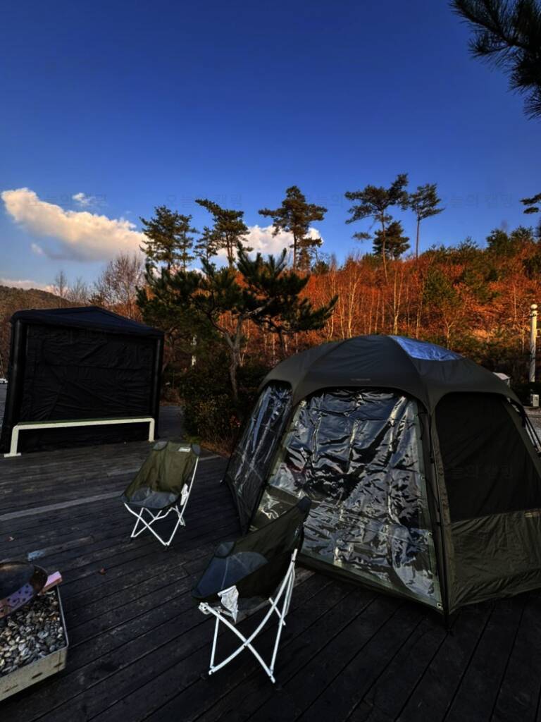 청계호수 자작나무숲 캠핑장