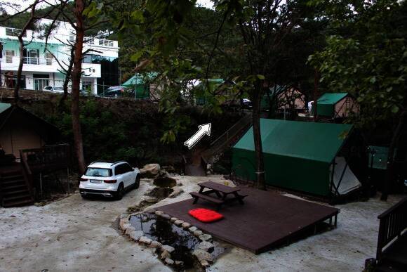 숲속다람쥐 캠프