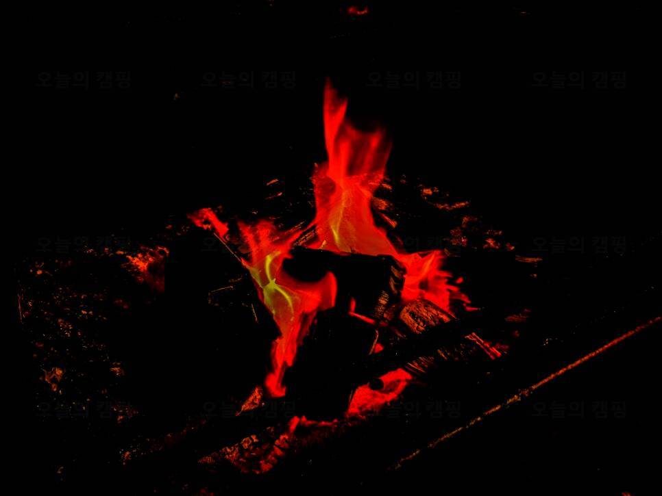 반딧불카라반캠핑장