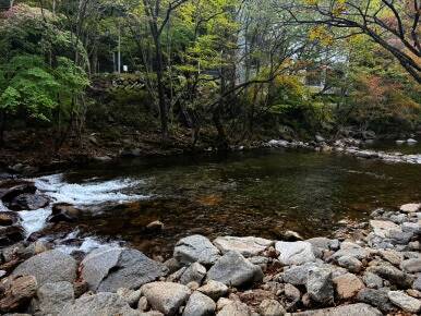 무주구천동카라반