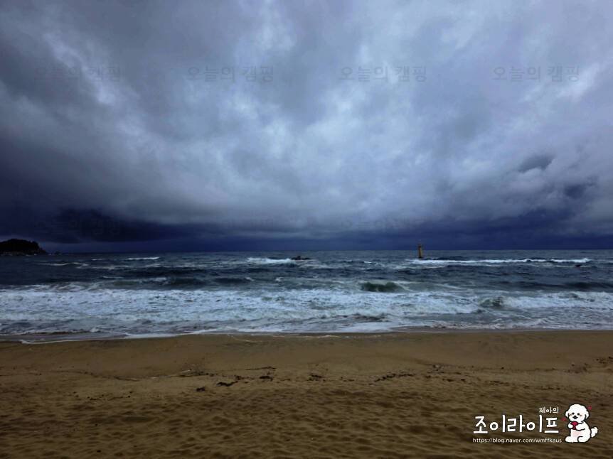 공현진1리해변 야영장
