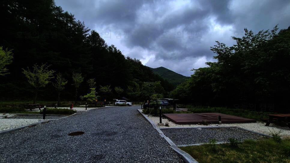 태백산 고원자연휴양림 야영장