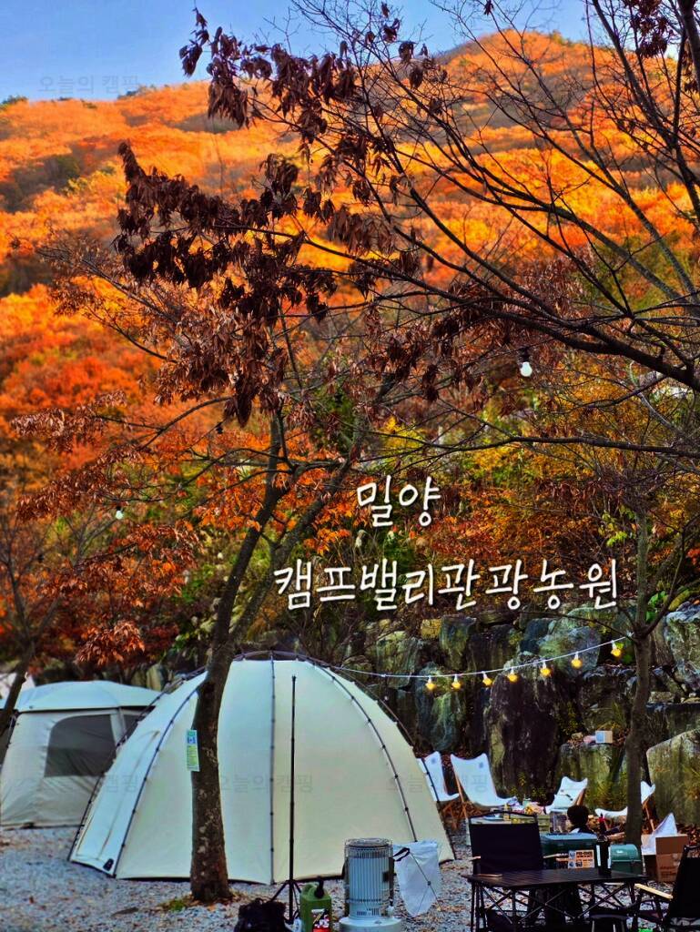 밀양캠프밸리 관광농원