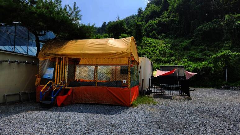 원주키즈캠핑장